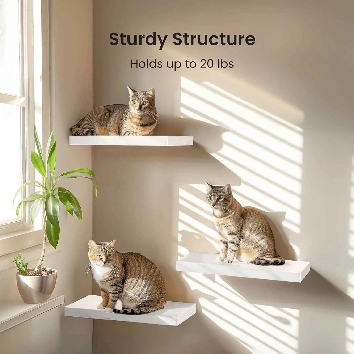 One-Line Floating Wall Shelf – 3-Tier Wooden Bamboo Wall-Mounted Storage Shelf AURABAGS SHOP