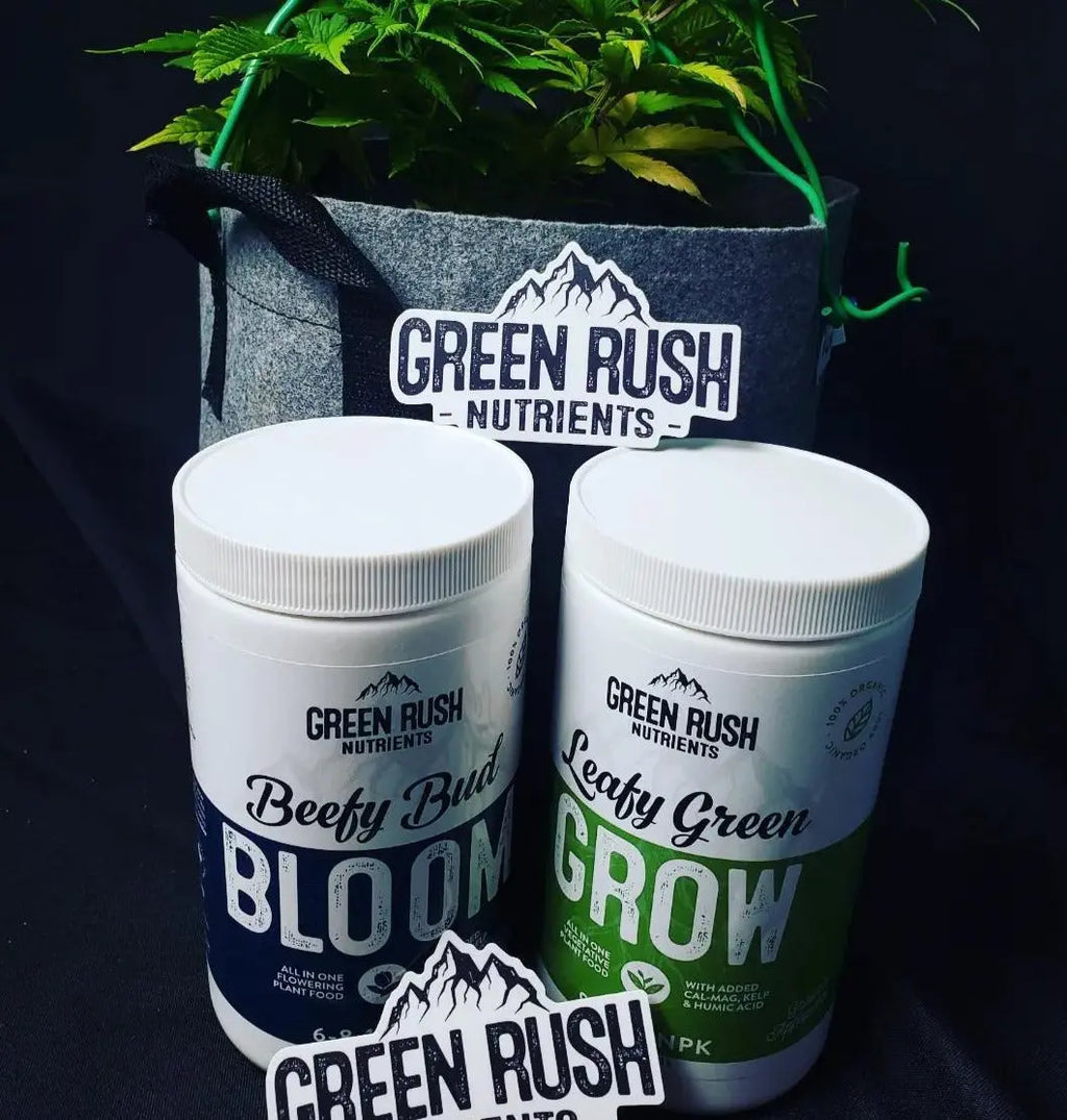 Veg To Harvest Pack: Leafy Green Grow & Beefy Bud Bloom Combo Green Rush Nutrients
