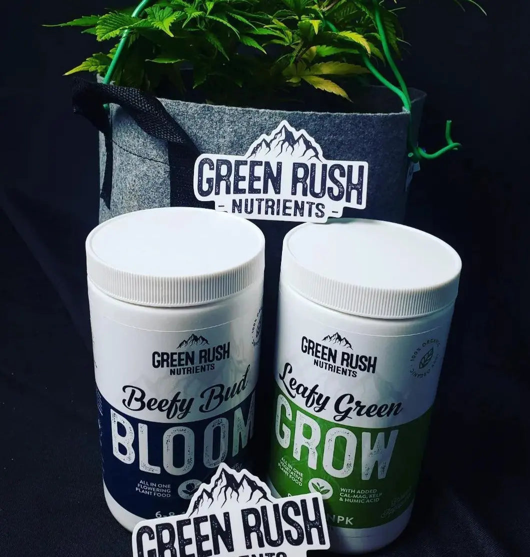 Veg To Harvest Pack: Leafy Green Grow & Beefy Bud Bloom Combo Green Rush Nutrients