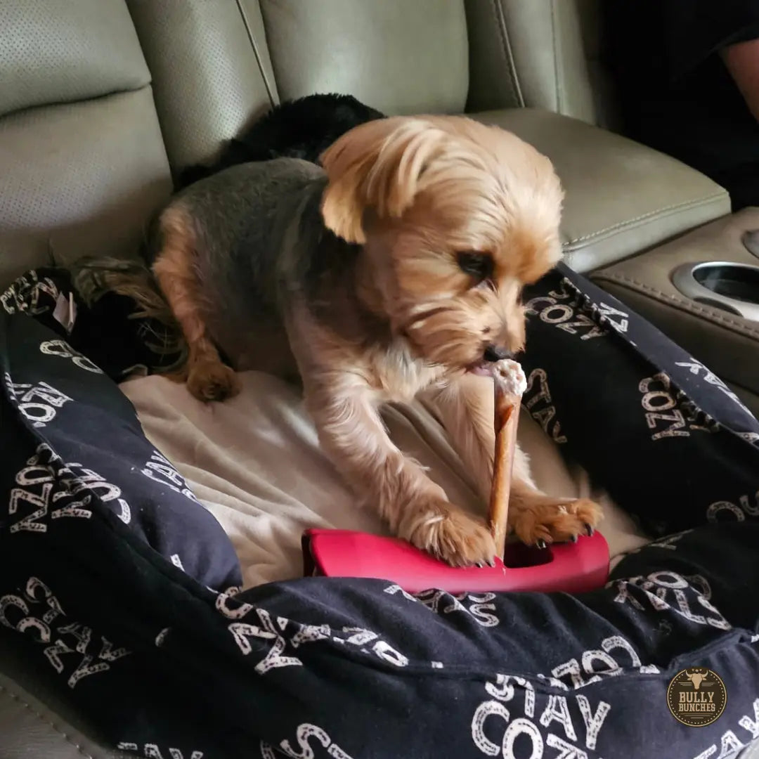 5-6 Inch Collagen Stick Bully Bunches