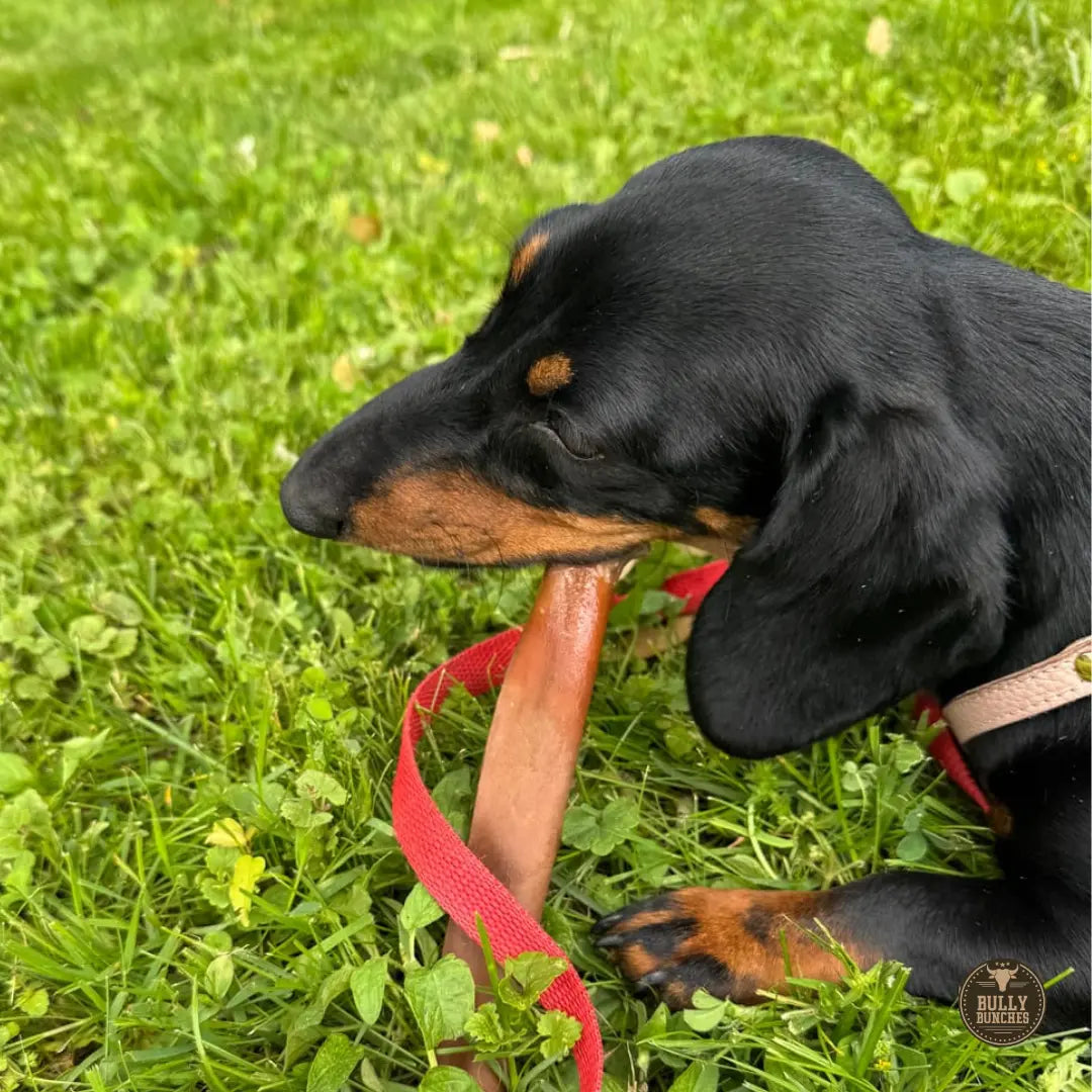 5-6 Inch Collagen Stick Bully Bunches