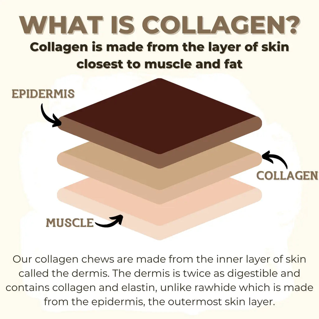 5-6 Inch Collagen Stick Bully Bunches