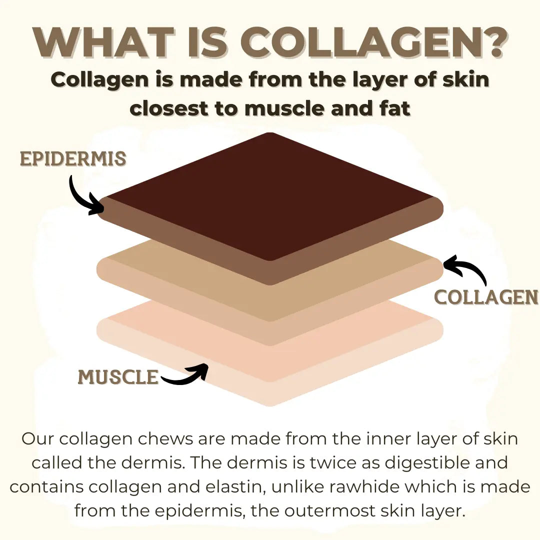 5-6 Inch Collagen Stick Bully Bunches