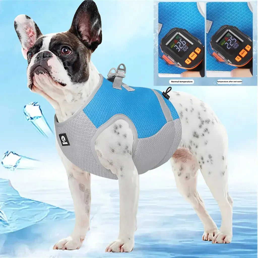 GlaDog de Refroidissement SFP pour Petit et Moyen Chien, Veste Cool pour Animaux de Compagnie, étiez ération Rapide, Coulée Réglable, Glace d'Été Ma boutique
