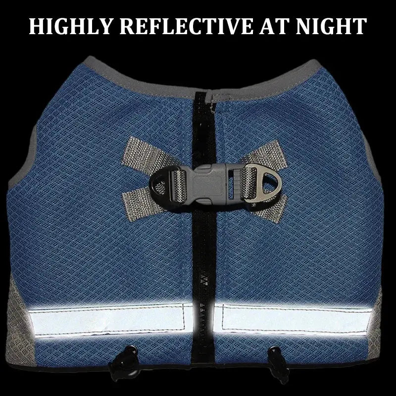 GlaDog de Refroidissement SFP pour Petit et Moyen Chien, Veste Cool pour Animaux de Compagnie, étiez ération Rapide, Coulée Réglable, Glace d'Été Ma boutique