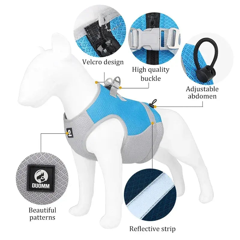 GlaDog de Refroidissement SFP pour Petit et Moyen Chien, Veste Cool pour Animaux de Compagnie, étiez ération Rapide, Coulée Réglable, Glace d'Été Ma boutique