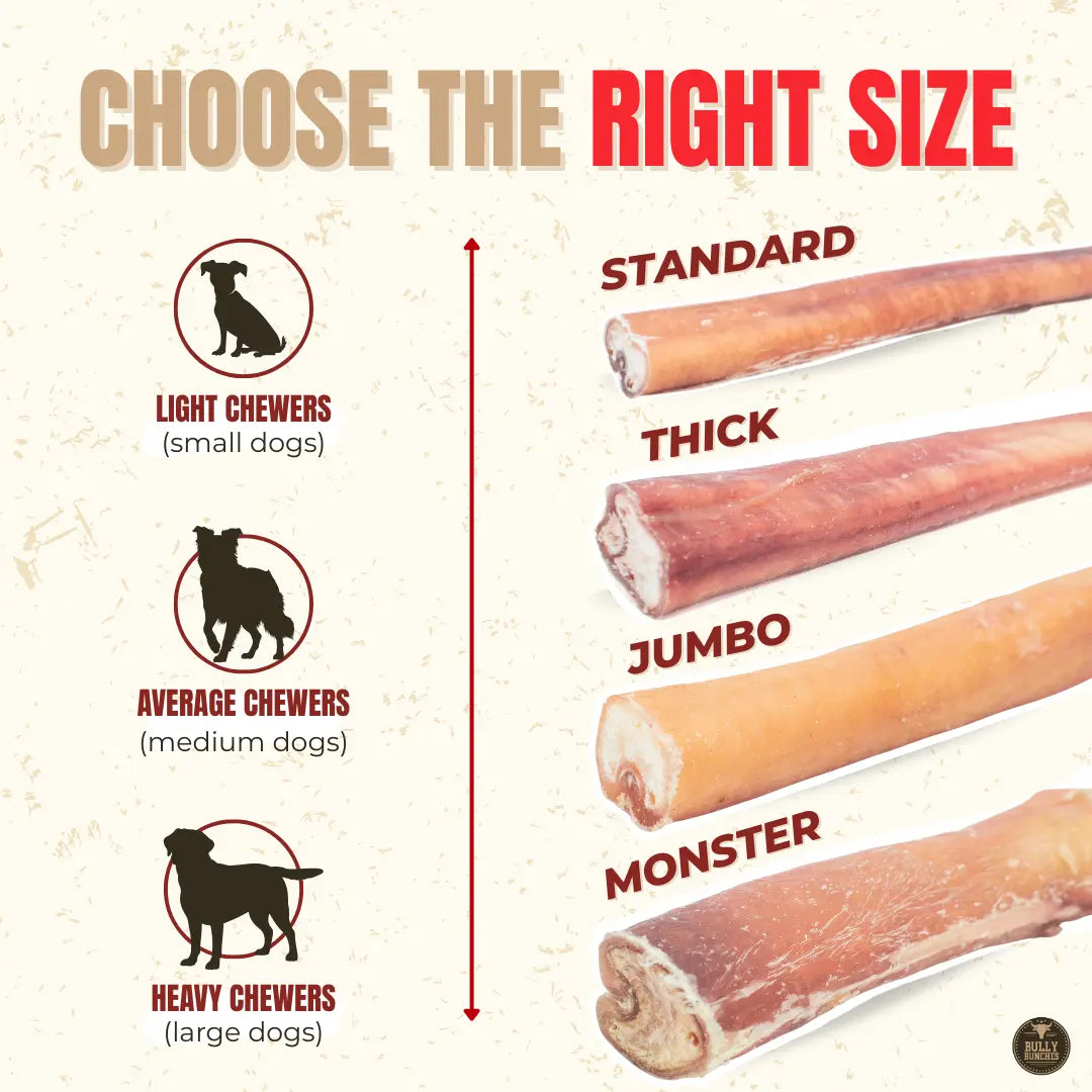 12 Inch Jumbo Bully Stick Bully Bunches