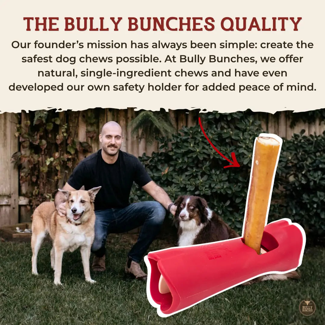 12 Inch Jumbo Bully Stick Bully Bunches